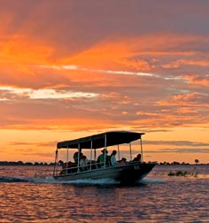 african safari honeymoon